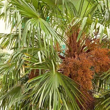 Otel Garden