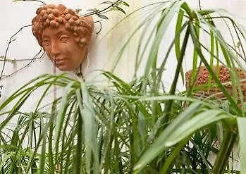 Hotel Garden